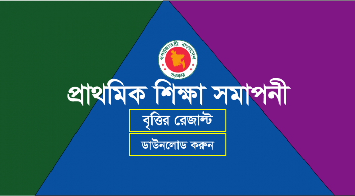 PSC Scholarship Result 2019