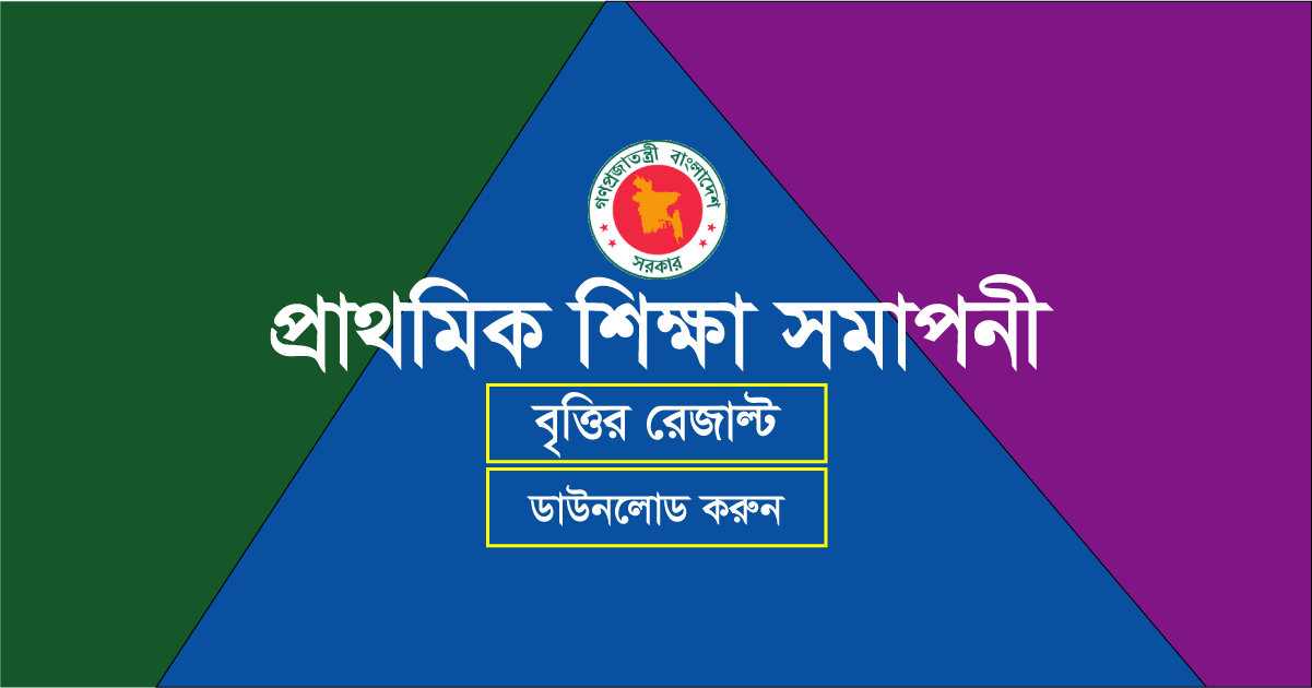 PSC Scholarship Result 2019